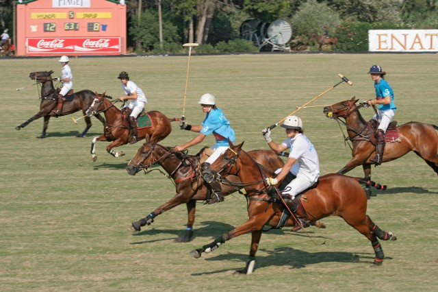 Polo Club