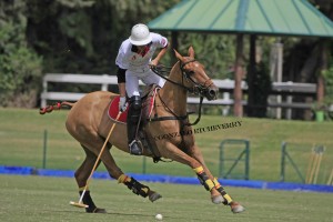 Polo player