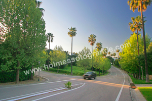 The leafy streets of Sotogrande