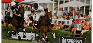 Sotogrande polo competiton