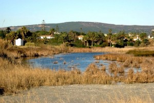 Finca Guadalquitón Sotogrande’s seaside nature reserve