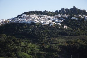 San Roque Sotogrande Train