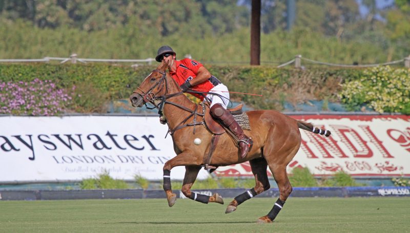 Polo in Sotogrande