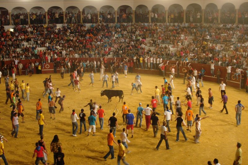 Bullfighting in Sotogrande