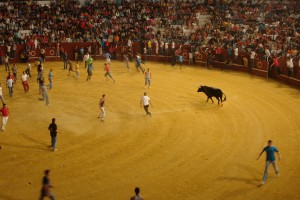 fiestas in spain bullfighting