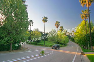 Sotogrande road