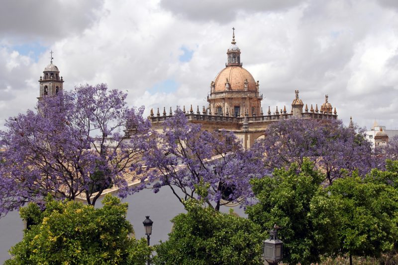 Jerez cathedral