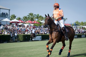 Polo Sotogrande