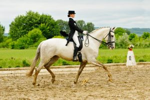 Dressage Sotogrande