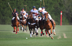 Sotogrande Polo