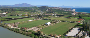 Sotogrande Polo